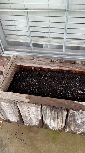 5K views · 143 reactions | Let’s add plants to my front porch. | Flowers by the Bunch | Facebook