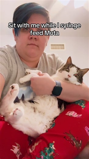 FIP (Feline Infectious Peritonitis) is a severe life threatening disease, caused by the mutation of the feline coronavirus. This mutation causes an over reaction of the immune system causing an intense inflammatory reaction. This causes blood vessels to leak in the adomal cavity (wet FIP) and organ damage and failure. Dry FIP tends to attack the nervous system causing neurological effects like seizures. Starting treatment with Gs-441524 as soon as FIP is suspected is critical as this disease can