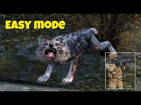 How to kill Wolves on DayZ