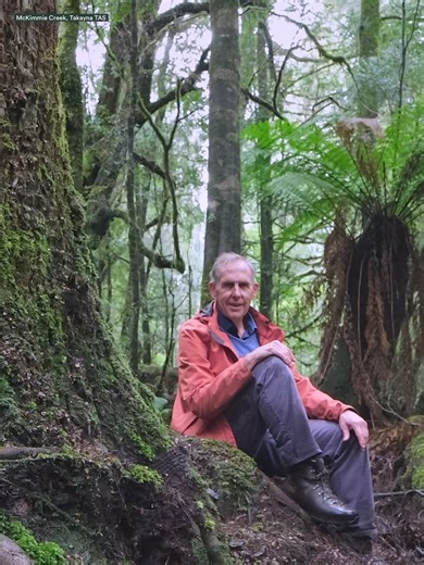 3.3K views · 740 reactions | Bob Brown Foundation on Reels | Facebook