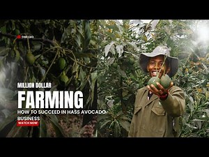 Why Every Farmer Should Consider Hass Avocado Farming – Expert Insights"