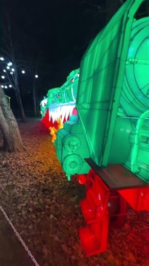 This was incredible! #zoolumination #outdoorlighting