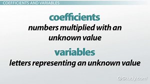 What Are Monomials & Polynomials?