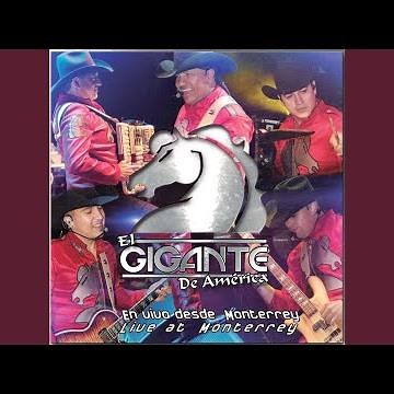 Homenaje a Choche - Amigo Bronco (En Vivo)