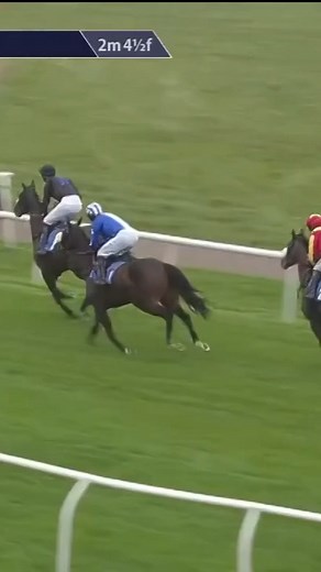 1.1M views · 7.6K reactions | When you think you're a kangaroo | Racing TV | Facebook