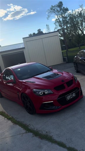 Maloo's Exciting Debut in 2026