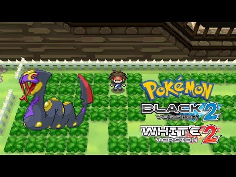 How to easily get Seviper in Pokemon Black 2 & White 2