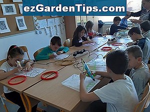 Životni ciklus američkog brijesta 🌱 Savjeti Vrtlari - Hr.ezGardenTips.com