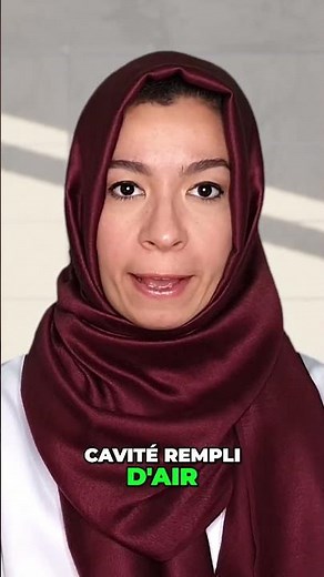 Discover how the human ear works: from the ear canal to the inner ear