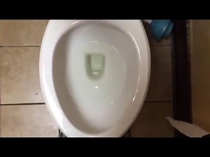 466. Pressure-assisted Proflo Toilet.