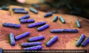 DNA Replication Process [3D Animation]