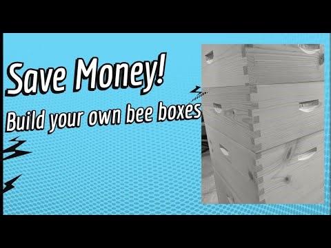 How to build your own bee box
