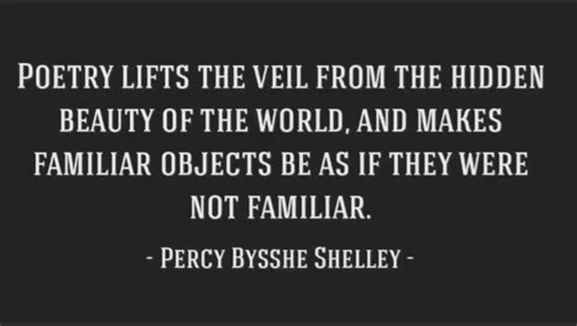 Middle East International School on Instagram: "Poetry Recitation Competition English Department Grade 6"