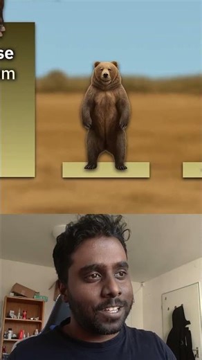 How high can animals can jump #mallu #challenge #funny