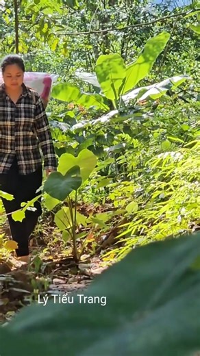 154K views · 4.2K reactions | The old lady really liked the new blanket the girl had just bought. #lifesingle #singlemother #lytieuca | Collection | Facebook