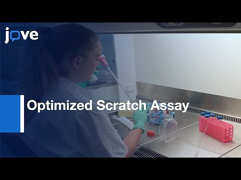 Optimized Scratch Assay: Testing Of Cell Migration With Automated Optical Camera l Protocol Preview