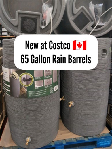 New Rain Barrels at Costco 🇨🇦! Spotted at Costco Markham East and most locations while supplies last. #MrCME #CostcoFinds #Costcoclearance #Costcoexclusive #costcocanada