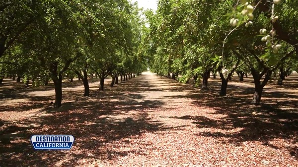 66 reactions | Thanks for the feature, Destination California! | Castle Air Museum | Facebook