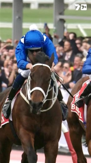 4.6K views · 2.6K reactions | “The best, simply the best.” Bruce on the champion mare Winx. | 7HorseRacing | Facebook