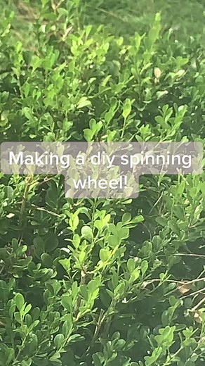 DIY Cardboard Spin Wheel Tutorial