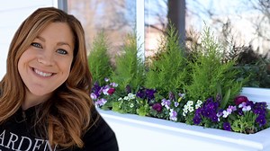 Planting Window Boxes for Spring! 🌸🌿🙌