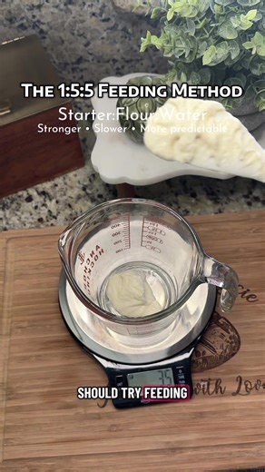 Mastering Sourdough Starter with 1:5:5 Feeding Method