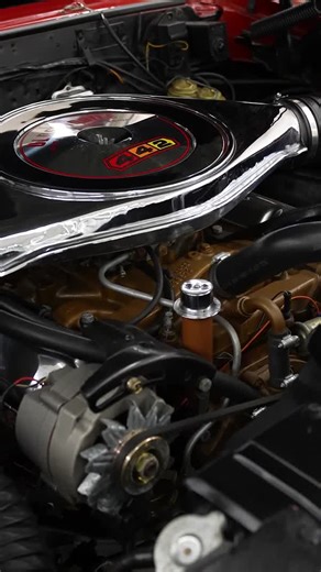 18K views · 155 reactions | Grocery store full of undiscovered...