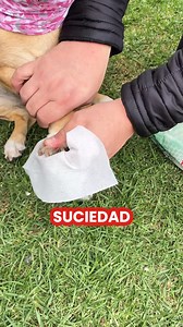 184 reactions · 8 comments | Limpian con #Basic-dinToallitasHumedas...