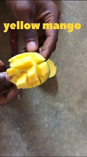 India Yellow mango 🥭 my fhewret