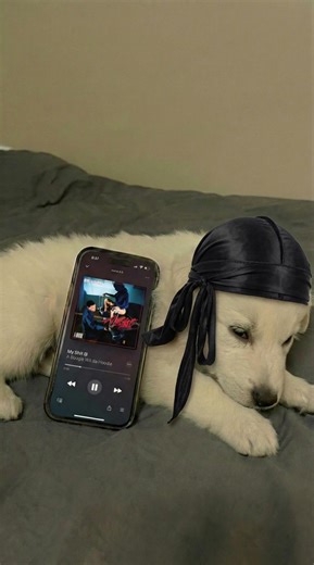 My Sh!t - A Boogie Wit Da Hoodie Lyrics Review