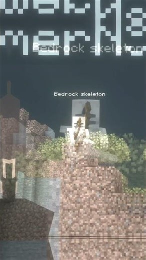 Bedrock vs Java Skeleton 🏹 #minecraft #skeleton