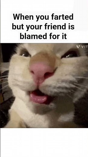 better luck next time.. wait.. next? #memes #funny #wut