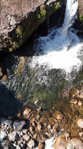 PARQUE NACIONAL DE ITATIAIA,parte Baixa Cachoeira do Pitu.