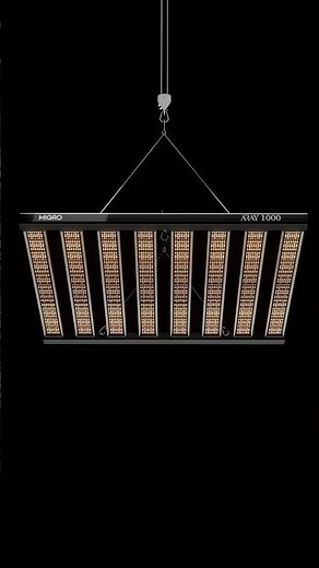 Is This The Most Efficient 1000W LED? 💡⚡️