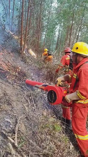 Forest Firefighting Techniques by Expert Firefighters