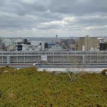 Fukuoka Cityscape: The "Urban Forest" Rooftop View at ACROS Fukuoka Step Garden