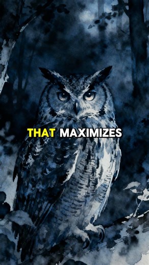 The Incredible Night Vision of Owls