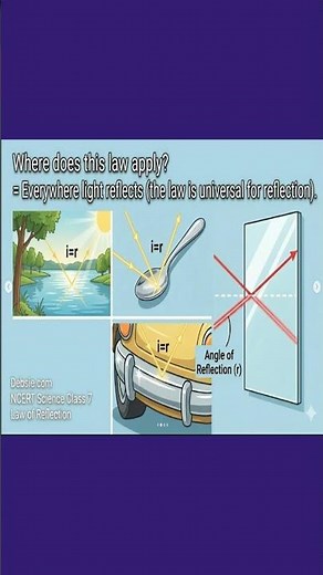 Law of Reflection Explained in 40 Seconds | Incident Ray, Reflected Ray & Normal | Science Revision