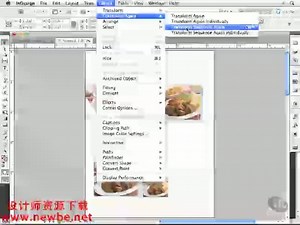 Adobe.InDesign.CS5初学者入门教程 (54)