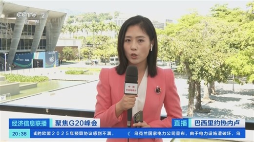 [经济信息联播]聚焦G20峰会 二十国集团领导人第十九次峰会在巴西开幕