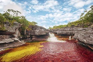 Río Caño Cristales: qué es, características, recorrido, fauna, flora