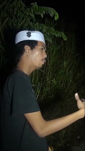 Meet the swamp monster