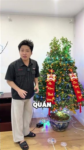 Led Fairylight trang trí Tết 16tr màu còn nháy theo nhạc