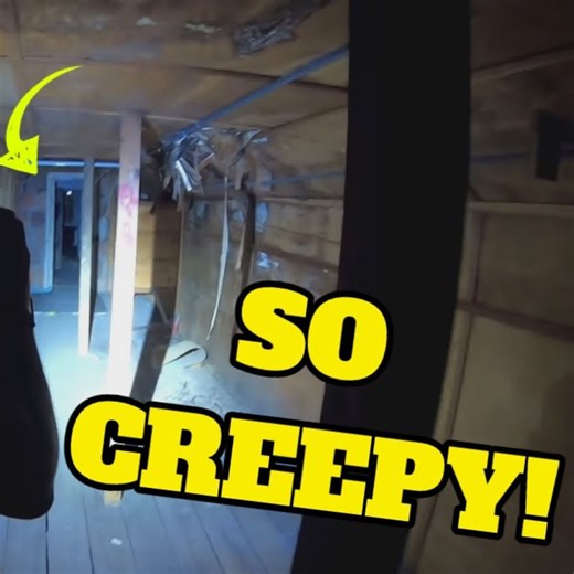 8.3K views · 291 reactions | Abandoned Prison for Troubled Girls explored from 1936! Forgotten Alabama History! 﫣 | Adventure Archaeology And Southern Diggers | Facebook