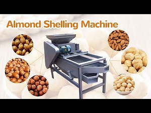 Almond shelling machine | hazelnut cracker | palm kernel cracking & separating machine (100-1000kg)