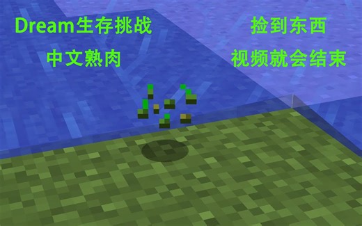 【Dream熟肉】生存挑战系列 捡到东西就结束