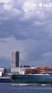 Detectives served a search warrant at Knight's apartment. They gathered trace evidence, fiber samples, and clothing. We found the jogging pants soaking in a bucket. Discover the critical evidence uncovered in this investigation. #SearchWarrant #CriminalInvestigation #Evidence #CourtCase #LegalProceedings #Investigation #TrueCrime #Mystery #CrimeScene #Legal | Real Responders