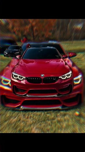 SEMPERO INSTRUMENTAL X BMW #automobile #bmwmmotorsport