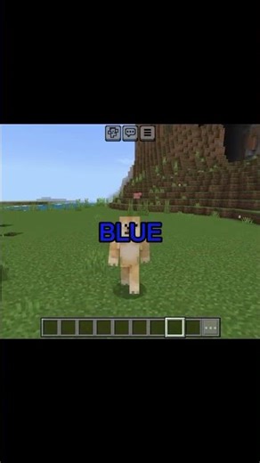 Minecraft but i can't see the color... | Part 1