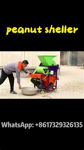 Peanut Sheller Machine Working Video | High Efficiency Groundnut Shelling #peanut #groundnut